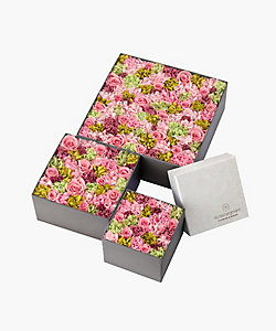 134 ニコライバーグマンで 一瞬の感動を一生の相棒に。suzuka