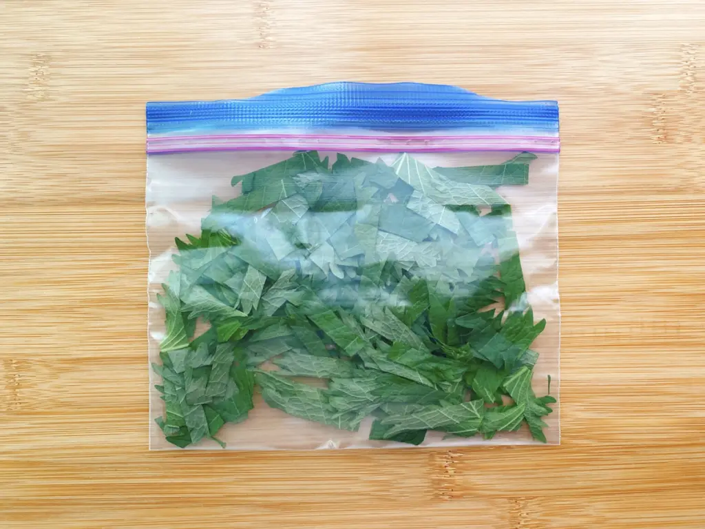 大葉 青じそ が長持ちする保存方法２週間後もピンピンの冷蔵＆冷凍テクLidea リディアby LION