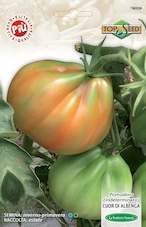 カレンデュラ キンセンカ の育て方を徹底解説！ 基本情報から主な品種までご紹介GardenStoryガーデンストーリー