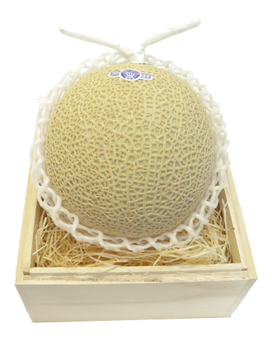 高級フルーツ代表格！メロンフェア株式会社丸二