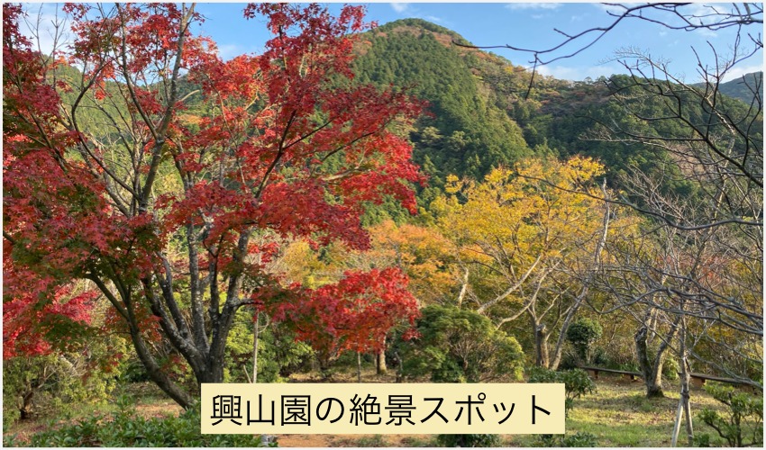 古賀茂明「東京地検のスパコン詐欺事件は安倍政権に飛び火するか、忖度で終わるか？」 | AERA dot. (アエラドット)