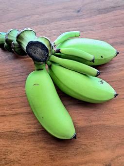 牧場物語ワンダフルライフ・攻略 青い作物一覧・トリックブルーの入手方法 Switchぺこくまのゲームログ