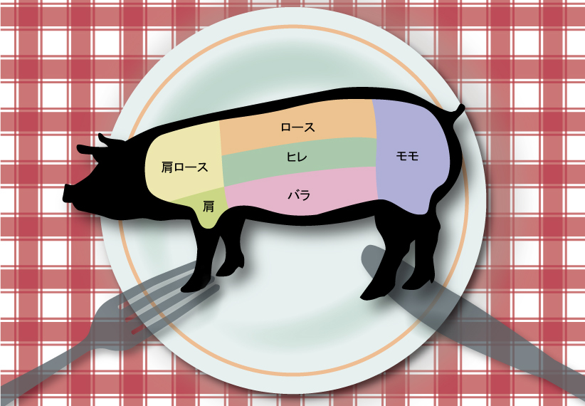 豚モモ肉について詳しくなろう！豚モモ肉の魅力やオススメレシピを紹介！ハイライフポーク