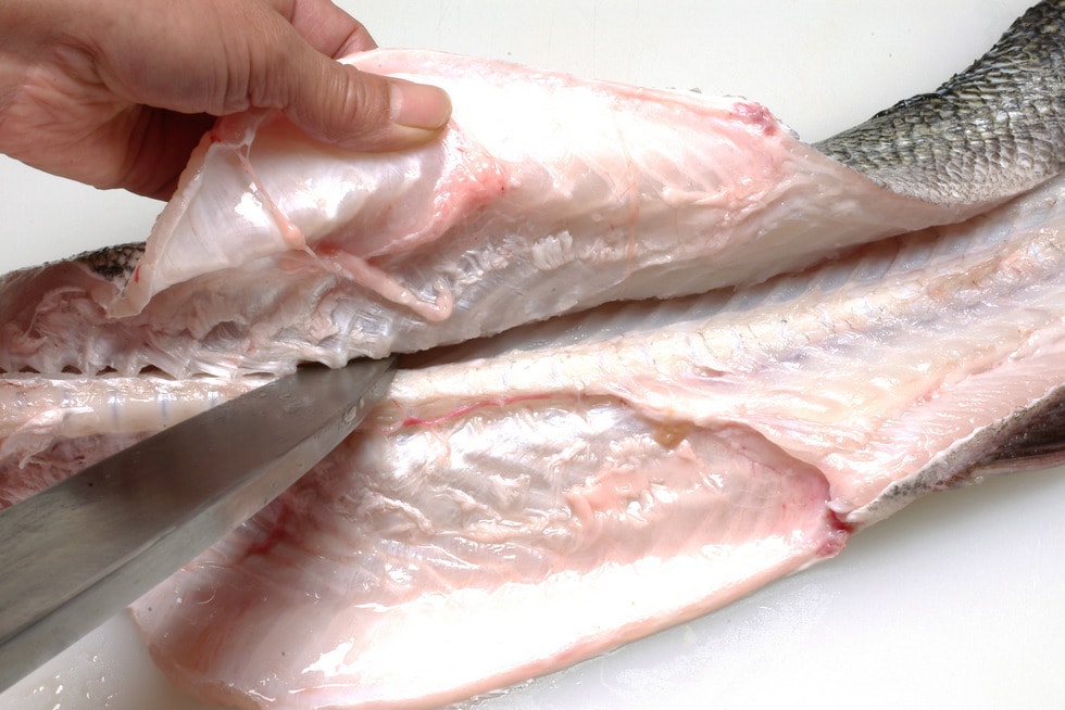 スズキの捌き方 - つくる楽しみ