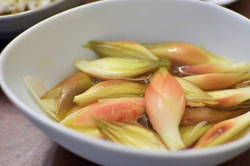 みょうがの忘れ物の新着記事アメーバブログ アメブロ