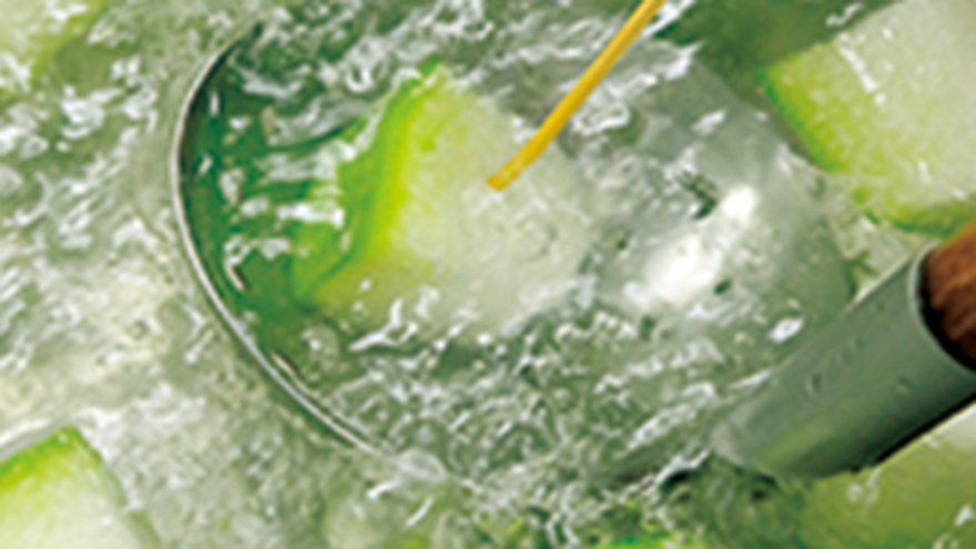 冬瓜の食べ方を覚えよう！下ごしらえのコツ長谷工グループ「ブランシエラクラブ」