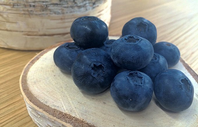 特集 青い実かぎけん花図鑑