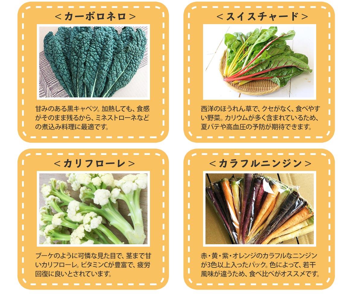 徹底解剖！ 野菜のおいしい食べ方大全ナツメ社