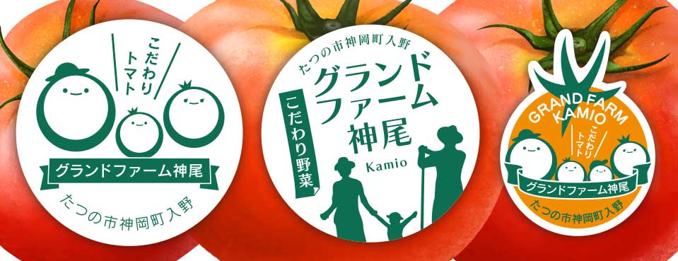 簡単お昼ご飯３選✨@ch___.2 さんの投稿をお借りしました❣️ @ch___.2 ←おうちごはん献立 悩みがちなお昼ご飯𓎩にいかがですか？𓂃𓈒𓏸 +++++++++++++++++++++++++ ご覧いただきありがとうございます✿ このアカウントでは2児ママ管理栄養士が これまでの経験や