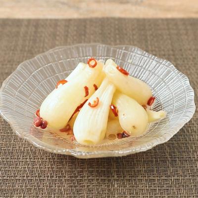 箸が止まらない！絶品 らっきょう 活用レシピ15選クラシル