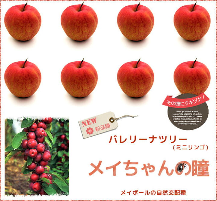 色鉛筆で描く！りんごのかわいいイラスト制作過程