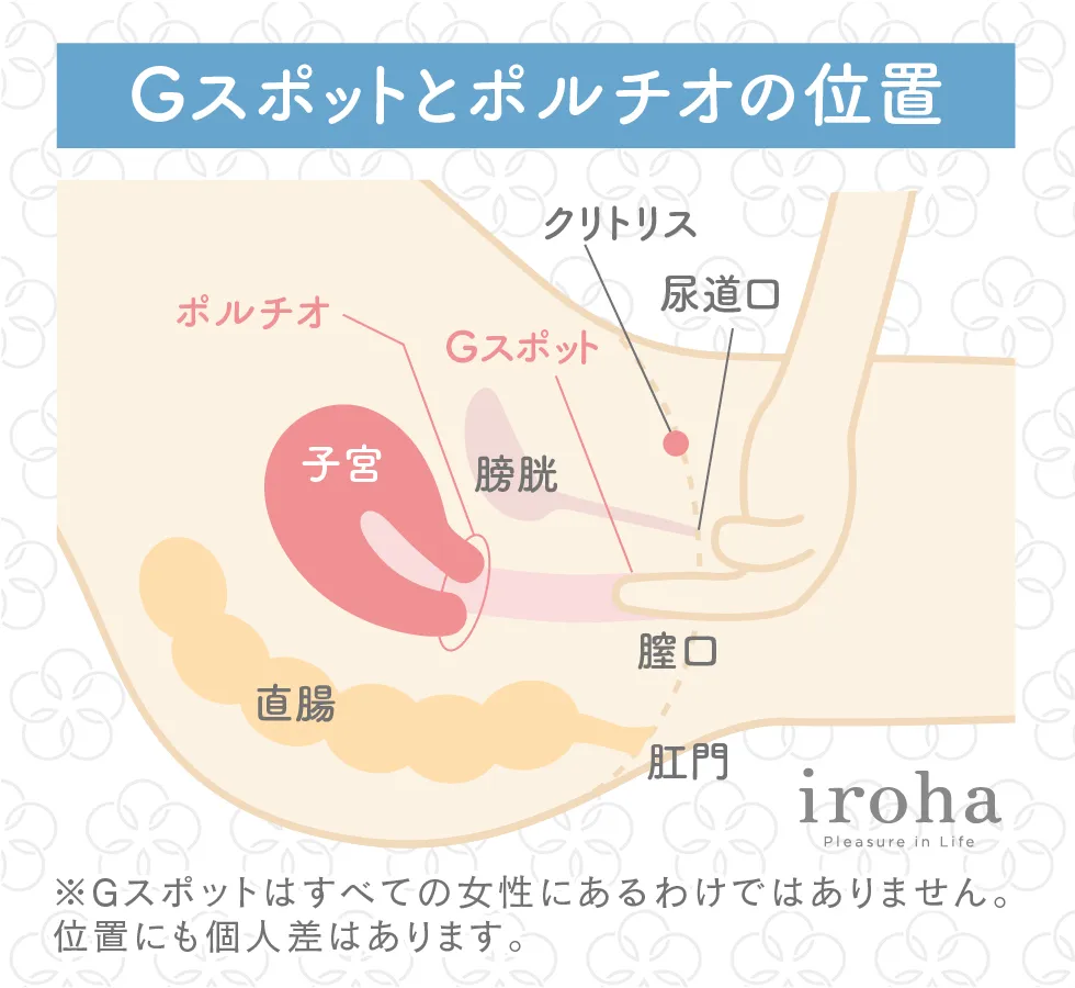 Gスポットはどこにある？ない人もいる？ 見つけ方・開発方法を紹介 |