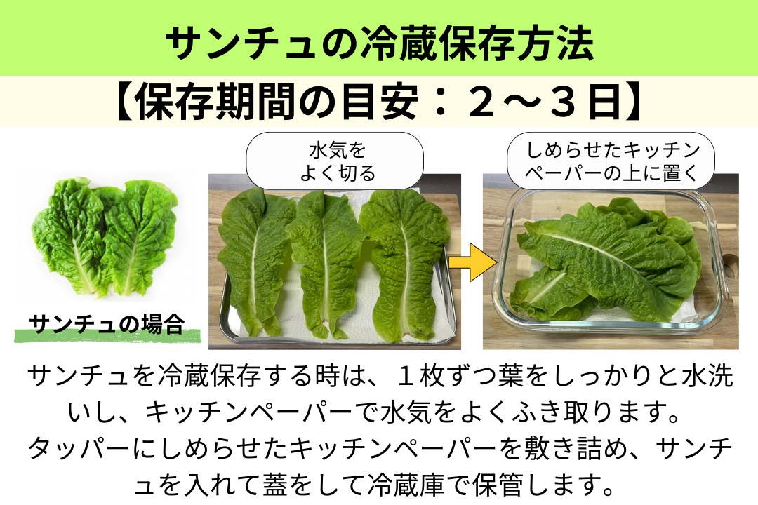 リーフレタスの保存方法冷凍・冷蔵・保存期間と保存食レシピ!乾燥させないのがコツ野菜のおうち。常温と冷凍保存方法解説