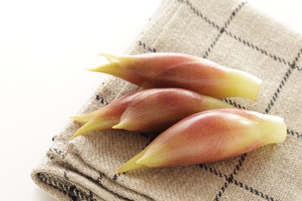 みょうがをパックのまま保存してない?こうすればシャキシャキ感とみずみずしさを長くキープできる! やってみた3ページ目暮らしニスタ