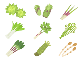 食べ物9のイラスト素材FYI03137319ストックフォトの Qlean Market キュリンマーケット