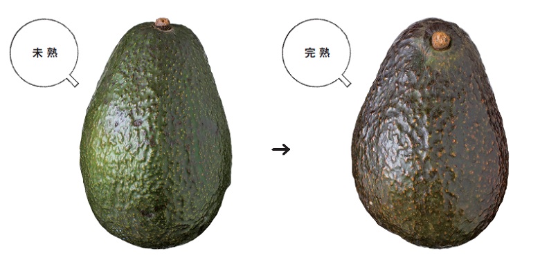 目からウロコ 良いアボカドの選び方と食べ頃の見極め方をプロ農家が教えます