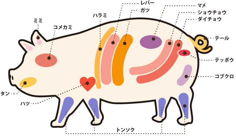 部位と特徴を知って豚肉を美味しくより楽しむ③ –豚肉専門通販サイト マエダポーク