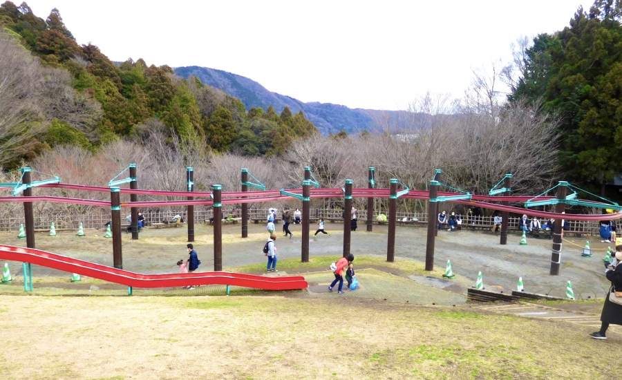 あいかわ公園のアスレチックは1日じゃ足りないくらいの満足度！ - イチゴのうさぎ