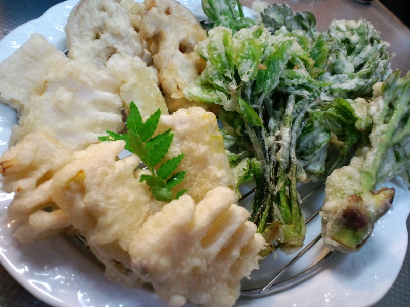 山菜 木の芽 コシアブラ コシアブラの芽の写真素材 - PIXTA