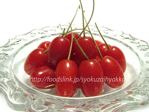 カヤの実を食す～其の一西尾建築設計室