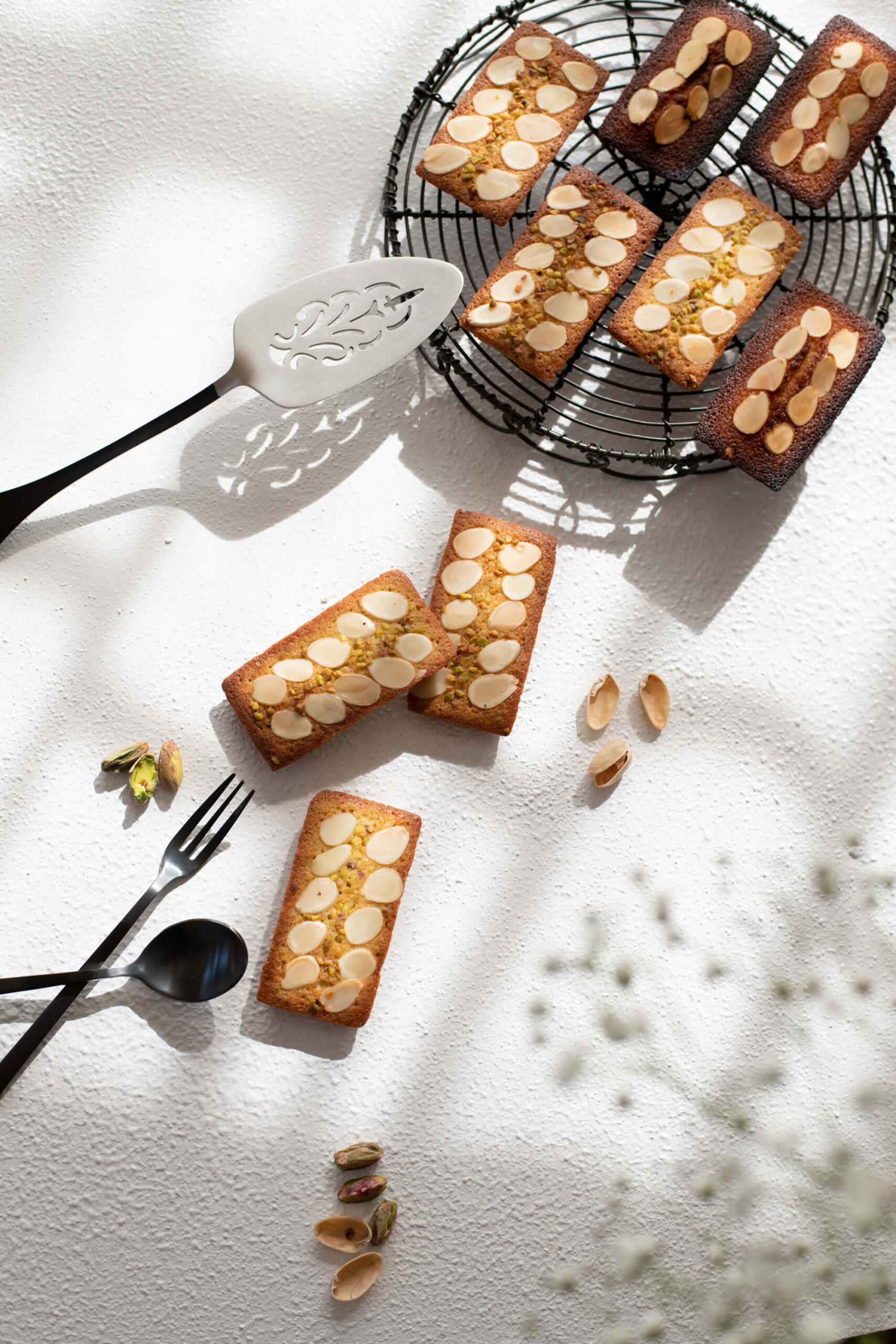 Amazon料理撮影・メニュー撮影用LEDライト EFII-60 ソフトボックス2灯セット 初心者でも撮れる「初めての撮影セット」※OMNIVASによる出荷前調整・国内保証付き 写真撮影機材OMNIVAS定常光ライト