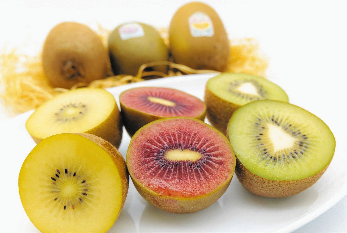 「キウイ」人気のワケ ２０年かけ開発 “中身赤い” 進化も 2021年4月22日放送「news every.」より