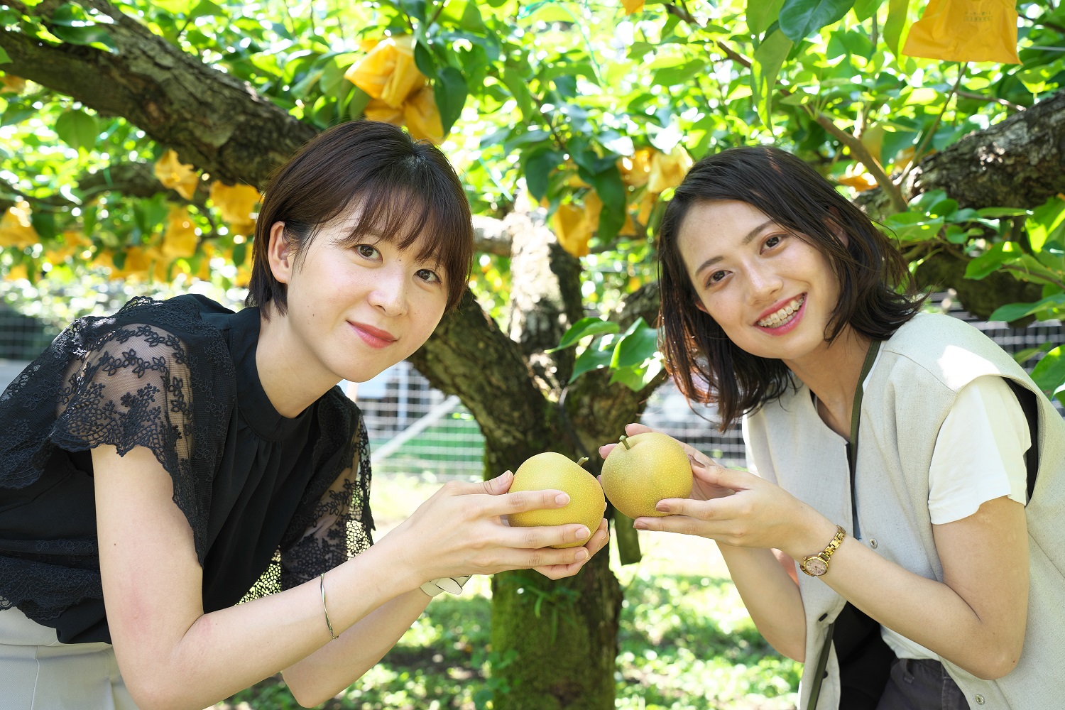 この夏行きたい！くだもの王国ふくしまの桃狩り - ふくしまの旅