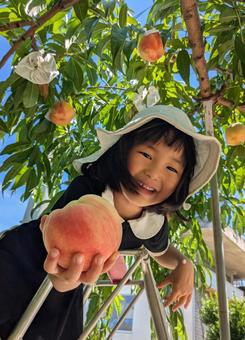 行こう、旬のフルーツ狩り！ドライブでいける関東おすすめ果物園11選RETRIP リトリップ