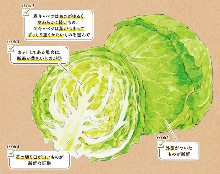 野菜・果物別一覧商品Q&Aコープみらい