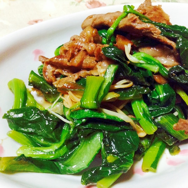 小松菜と牛肉のオイスターソース炒めからだとあたまが喜ぶお弁当レシピ N's KITCHEN