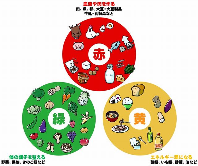 5歳児食育『三色食品群』アソシエブログ