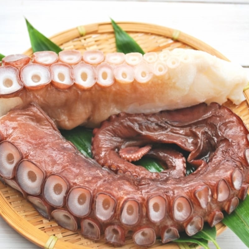 ゆでだこ 500g スペイン 海鮮 食品 冷蔵 栄養成分 調理方法 調理器具 保存方法 カロリー 賞味期限 日持ち アレンジ クックパッド おつまみ食事 健康維持 海 簡単 人気 オススメ 副菜 レシピ 献立 原材料 便利 足の数 食べ方 切り方 吸盤 販売場所