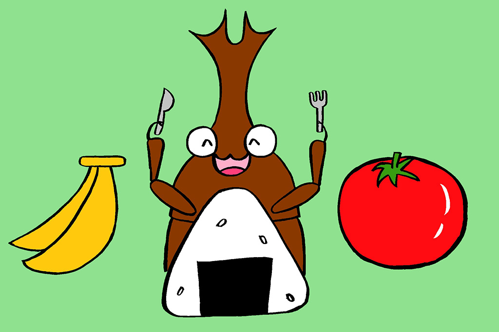 クワガタのエサイラスト無料イラスト・フリー素材なら「イラストAC」