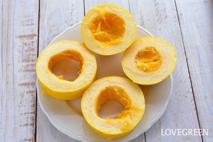 手間なくオススメ！ カボチャの育て方・栽培方法はんのうびより