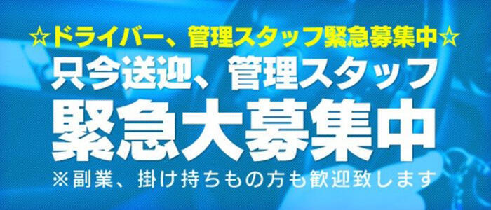 サイゼリヤ ビバモール本庄のアルバイト・パート求人情報 （本庄市・サイゼリヤのホールスタッフ） |