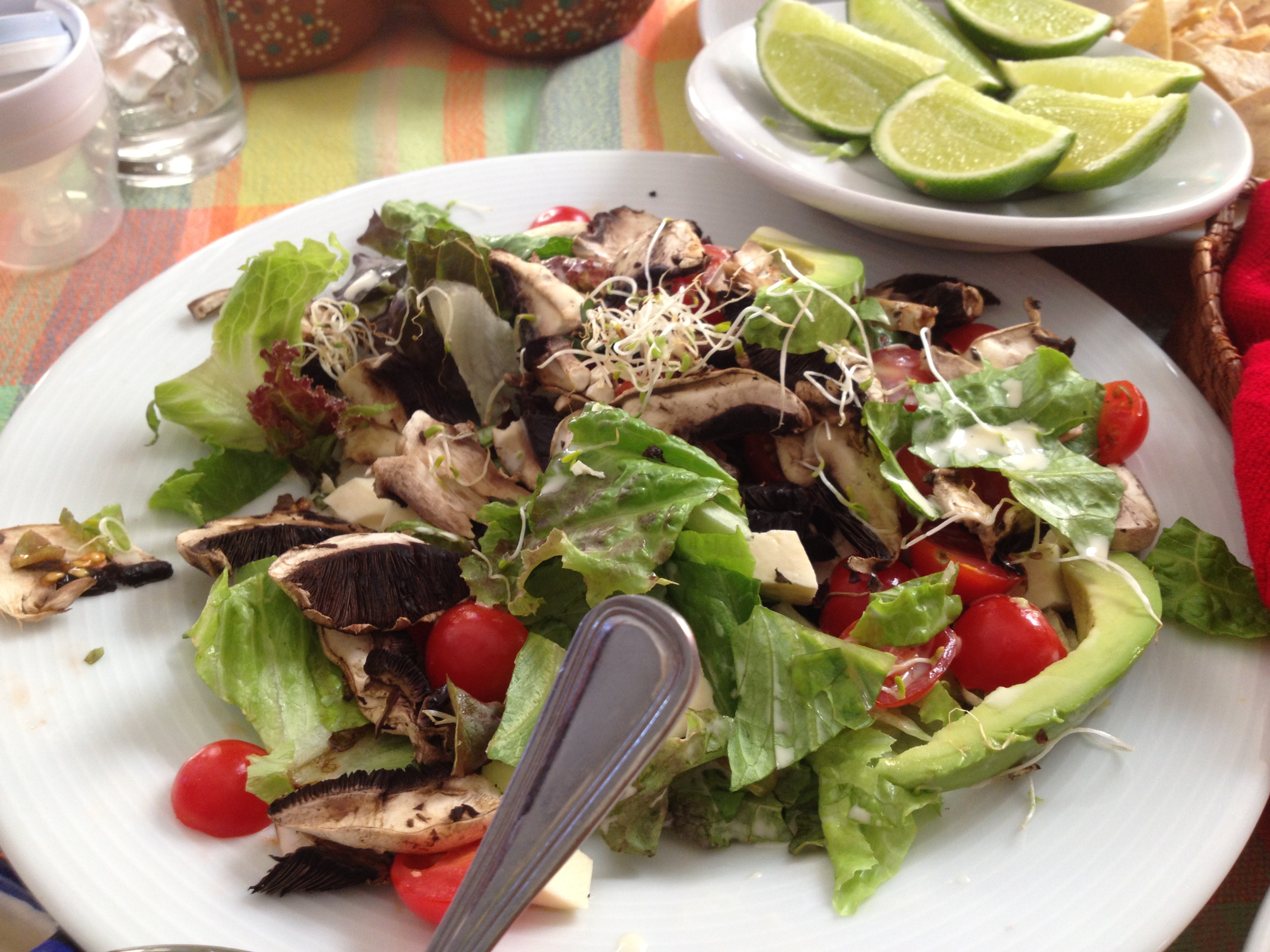 🇲🇽女1人旅 メキシコでの自炊メインの食生活 〜メキシコでの3週目を迎えて〜ローカル⭐︎アラフォー女ひとり旅