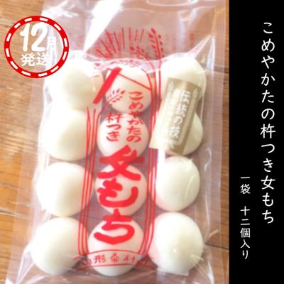 トラフコメツキは虎のような姿のコメツキムシ？春限定で見られる - ネイチャーエンジニア いきものブログ