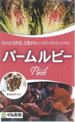 その保存方法間違ってない？レタスは1カ月保存できます。しなびたレタスも即復活