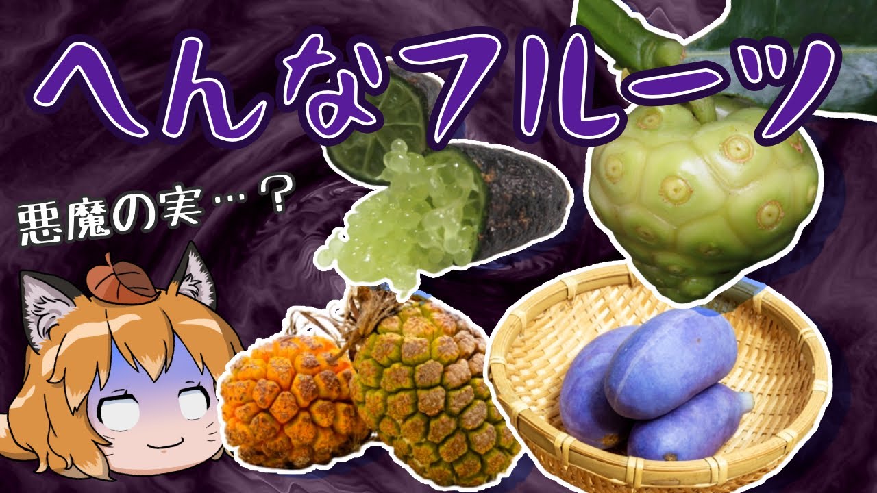 珍しい果物 いくつ知っていますか?みなとの野菜大辞典