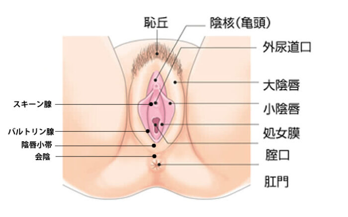 えっちなレズお姉さん二人がシャワー室でねっとりレズセックス