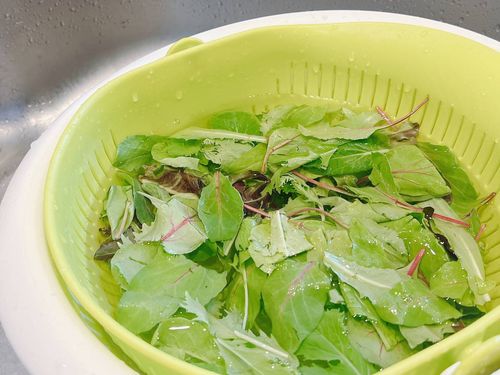 ベビーリーフの保存方法と美肌効果