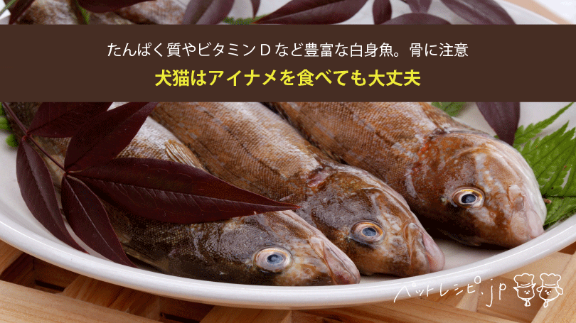 ふわふわ衣 ころも の天ぷら アイナメ香り揚げ ～ 料亭の和食レシピ - Ryotei Style Jp リョウテイ スタイル