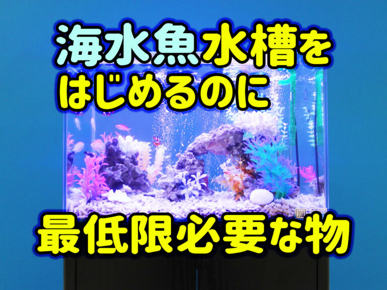 海水の塩分濃度は?あさりの砂抜きや魚の飼育のための海水の作り方もSHINE+ 暮らしを磨く