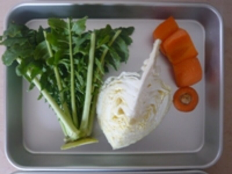 野菜くずを再利用！おうちの中をピカピカに磨こうおうちをキレイに明日を灯すHOME&LIFE