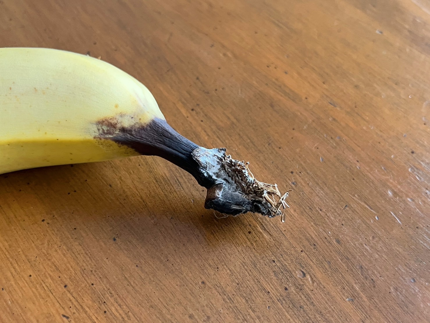 バナナの軸に付いた『白いやつ』って何？ 企業の回答に「知らなかった」の声 – grapeグレイプ