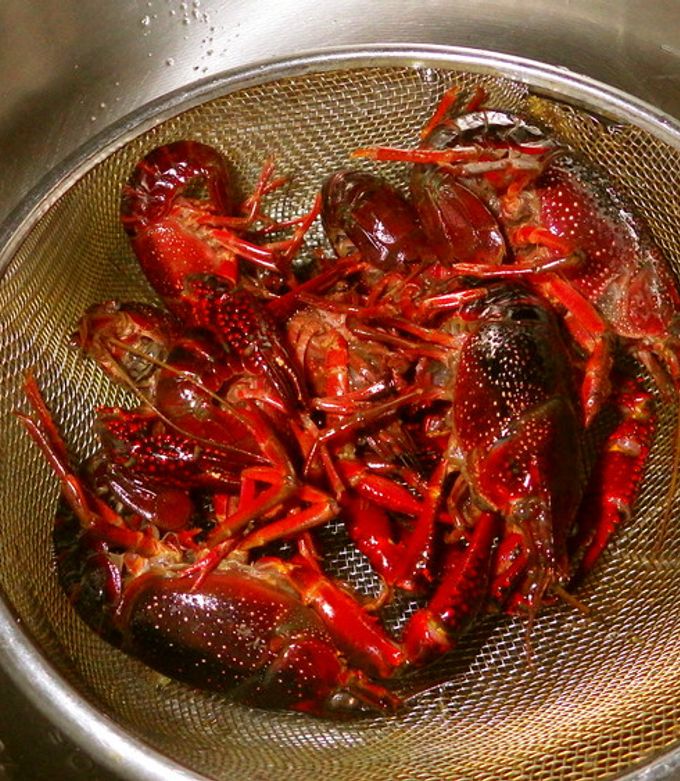 埼玉・西川口のザリガニ料理屋さん「ボボクレイフィッシュ」 - お風呂屋さんの日常