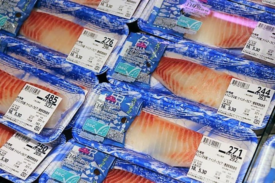 釣魚の寄生虫 少々”キモ注意”: SUN Boat Fishing Club