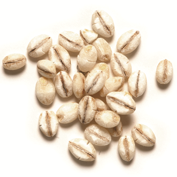 瑞德产品介绍之大麦- 瑞德控股集团