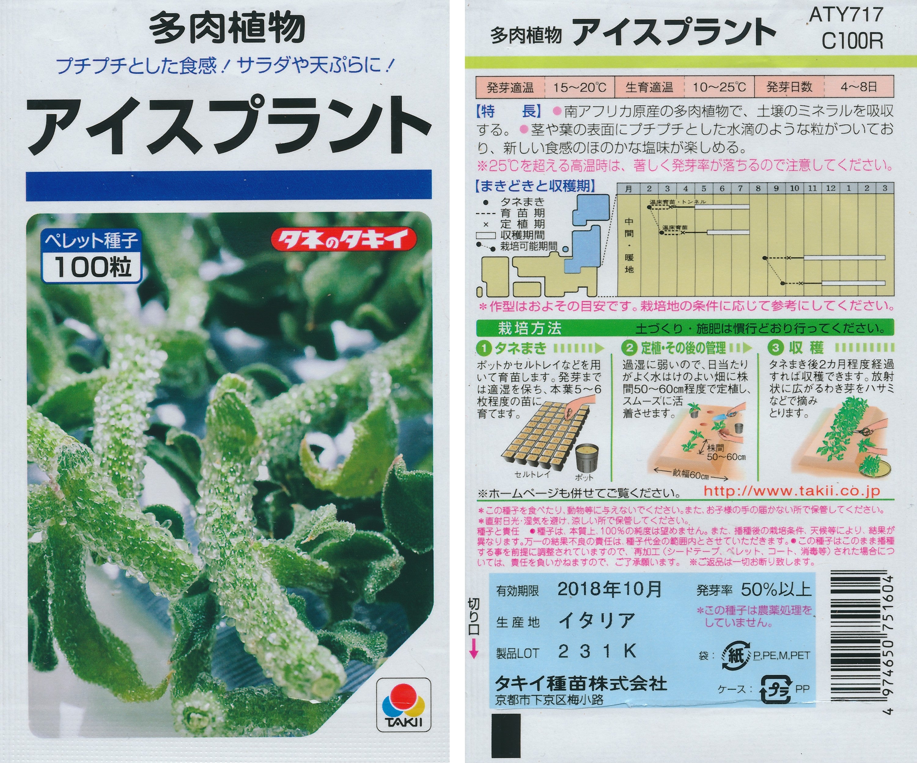 初心者 アイスプラントの栽培・育て方 収穫・ペットボトル水耕栽培など簡単 家庭菜園の始め方と初心者におすすめグッズ