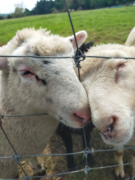 県立あいかわ公園周辺のご当地グルメランキング - じゃらんnet